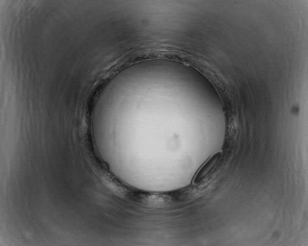 X0000100860566200806200841
