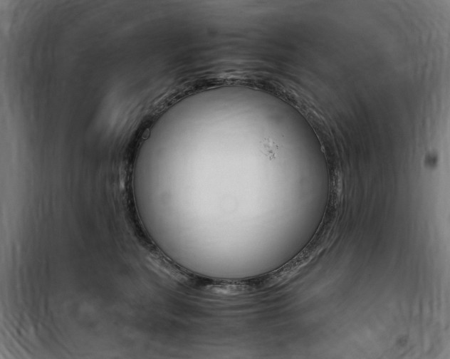 X0000100860567200806200841