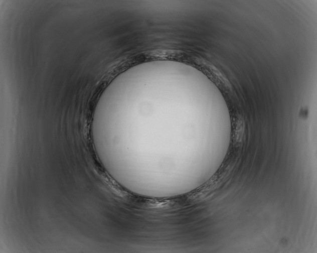 X0000100860569200806200841