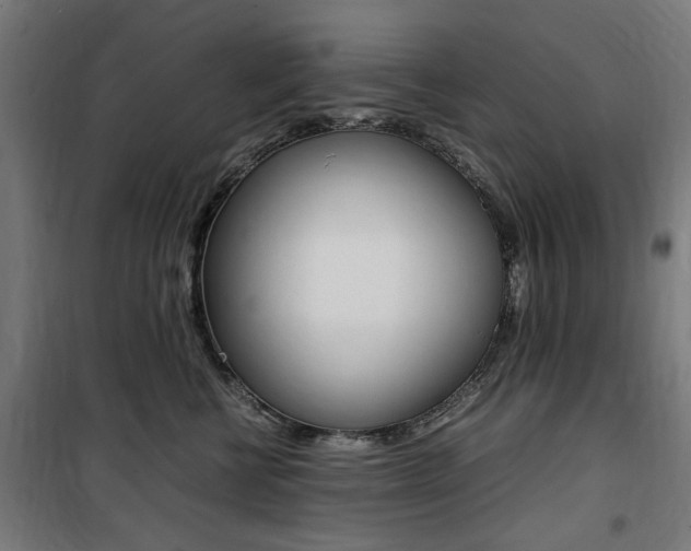 X0000100860570200806200841