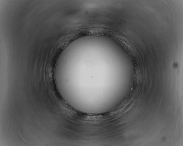 X0000100860571200806200841