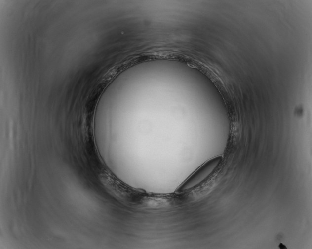 X0000100860572200806200841
