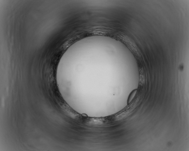 X0000100860573200806200841