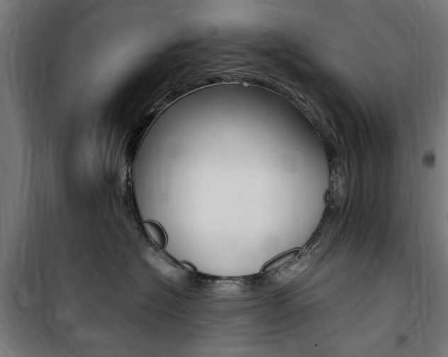 X0000100860574200806200841