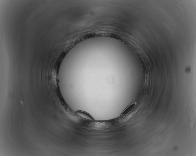 X0000100860575200806200841