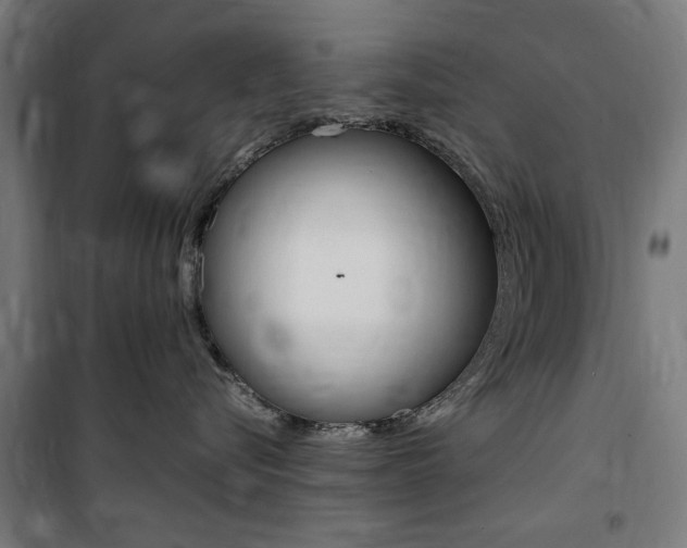 X0000100860576200806200841