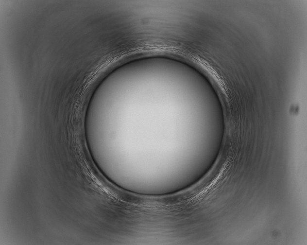 X0000100860577200806200840