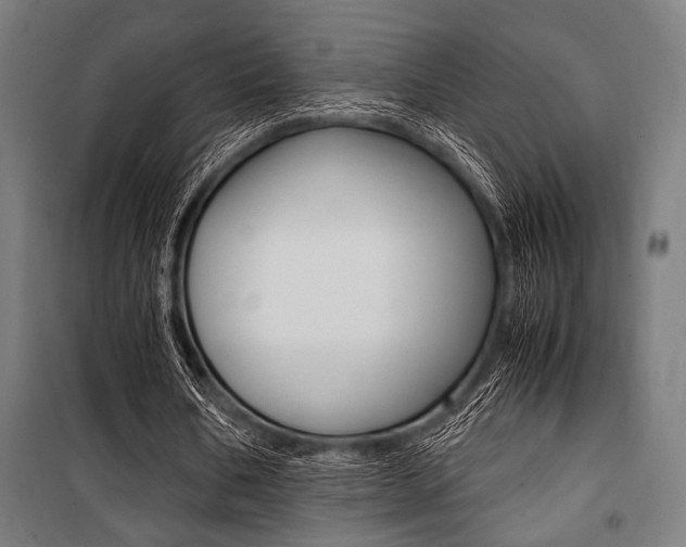 X0000100860578200806200840