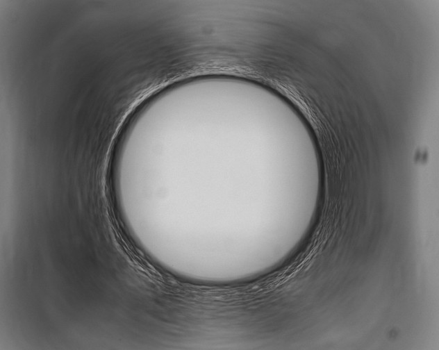 X0000100860579200806200840