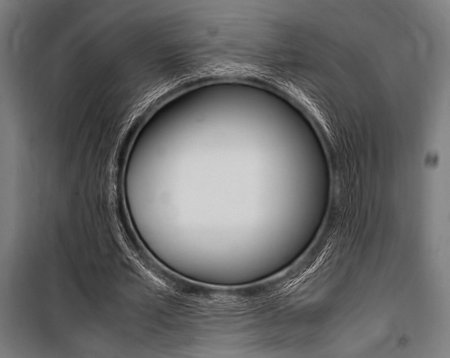 X0000100860581200806200840