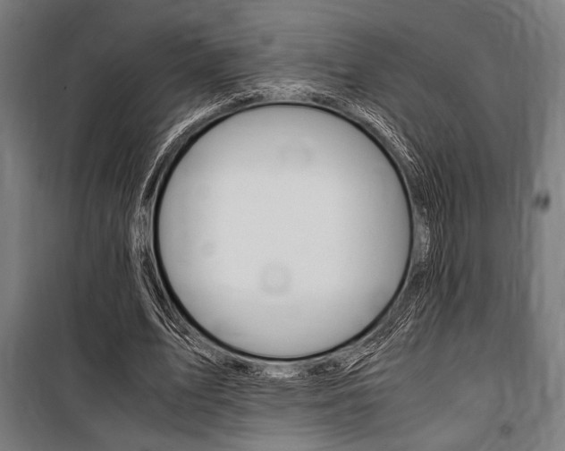 X0000100860583200806200840