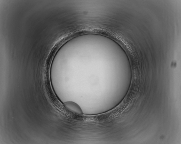 X0000100860587200806200840