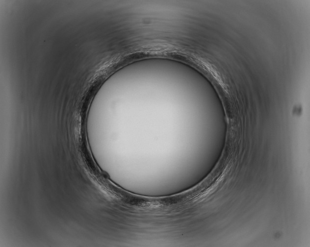 X0000100860589200806200840