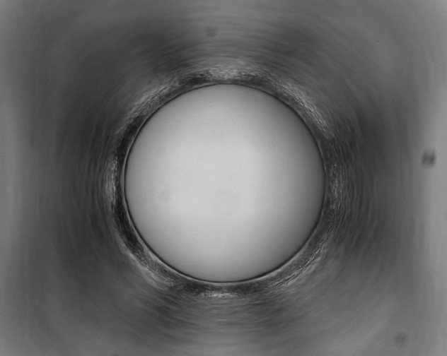 X0000100860590200806200840