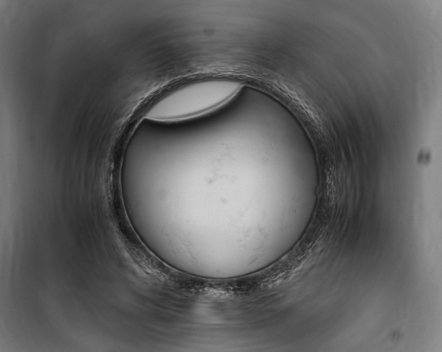 X0000100860592200806200840