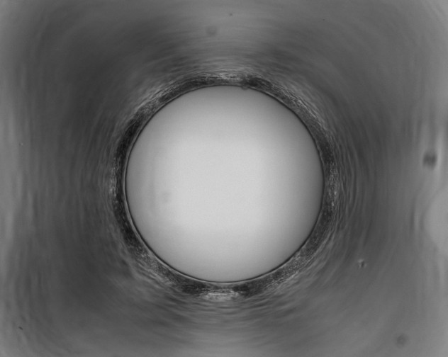 X0000100860595200806200840