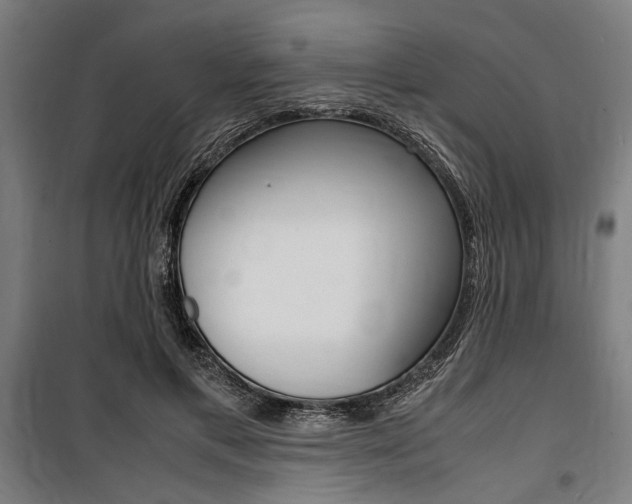 X0000100860597200806200840