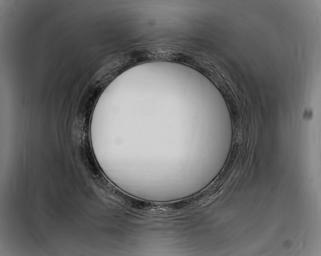 X0000100860599200806200840