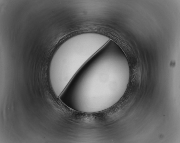 X0000100860600200806200840