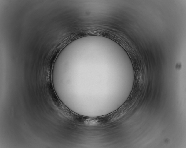 X0000100860602200806200840