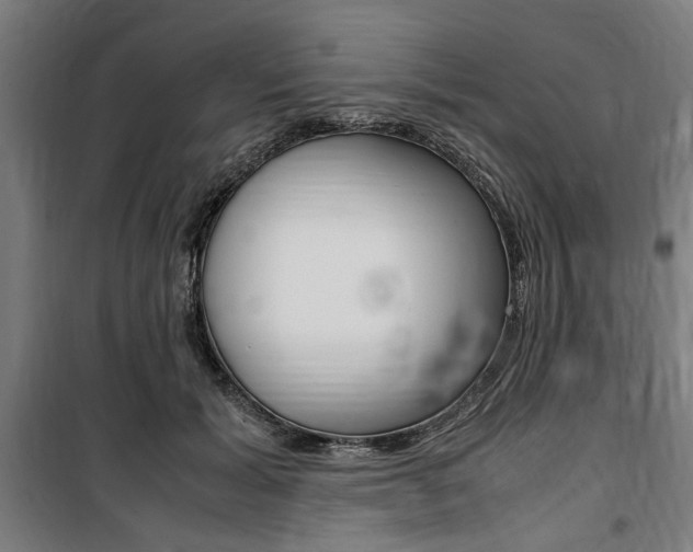 X0000100860605200806200840