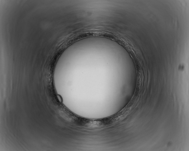 X0000100860609200806200840