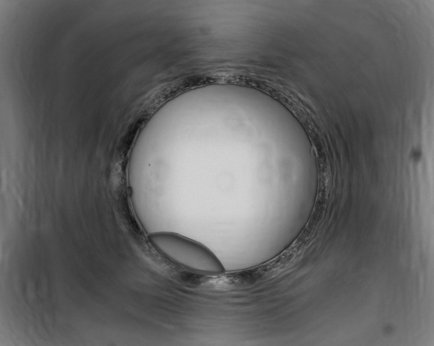 X0000100860611200806200840