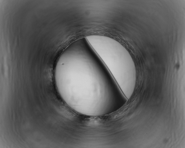 X0000100860612200806200840