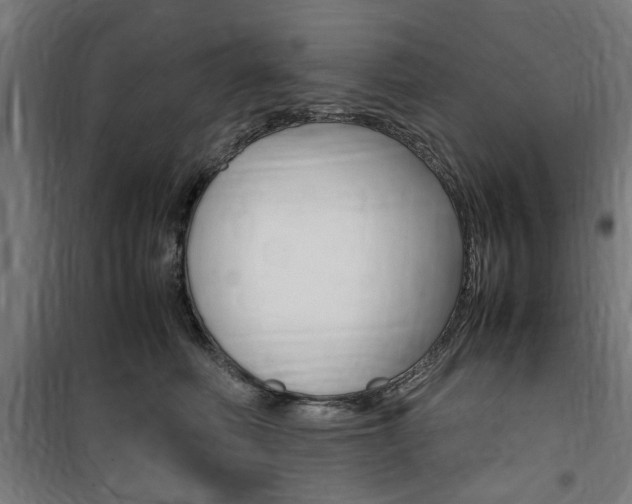 X0000100860614200806200840