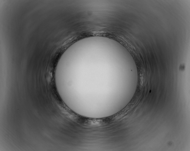 X0000100860618200806200840