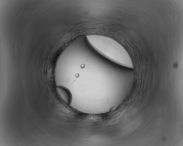 X0000100860619200806200840