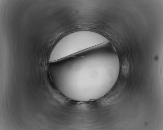X0000100860620200806200840