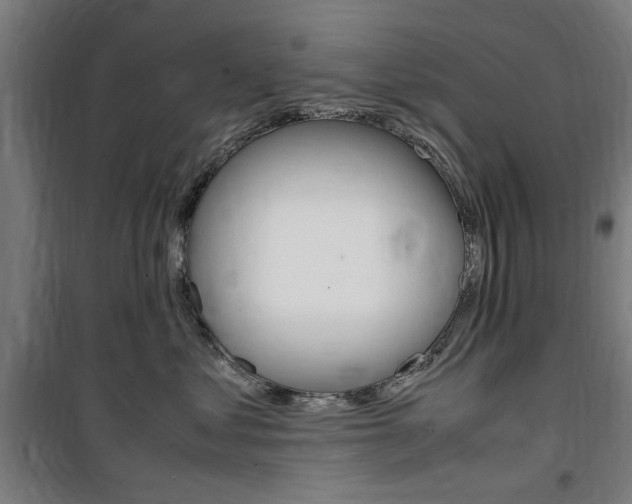 X0000100860621200806200840