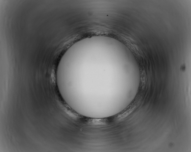 X0000100860622200806200840