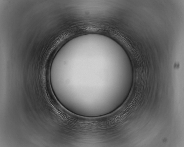 X0000100860626200806200839