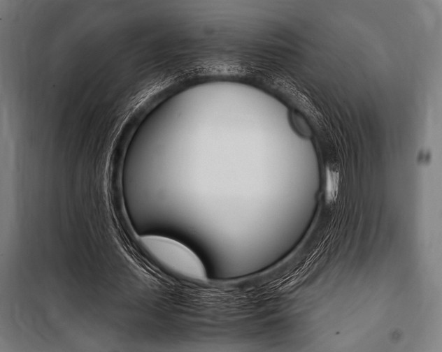 X0000100860627200806200839