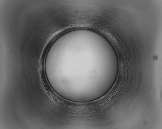 X0000100860628200806200839