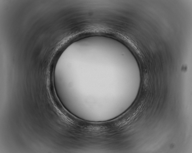 X0000100860629200806200839
