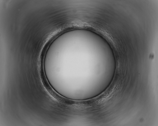 X0000100860630200806200839