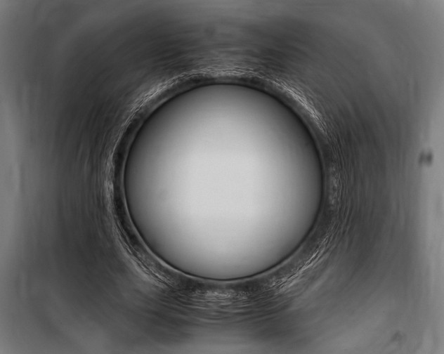 X0000100860631200806200839