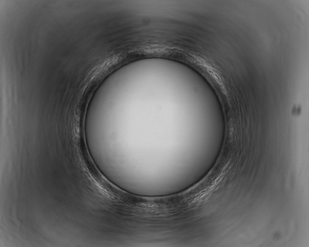 X0000100860633200806200839
