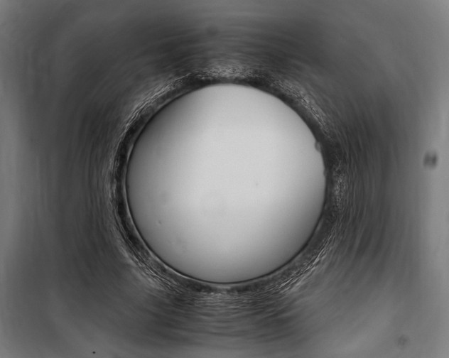 X0000100860635200806200839