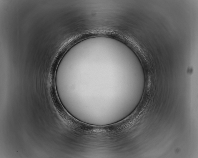 X0000100860636200806200839