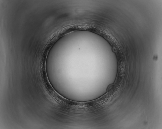 X0000100860639200806200839