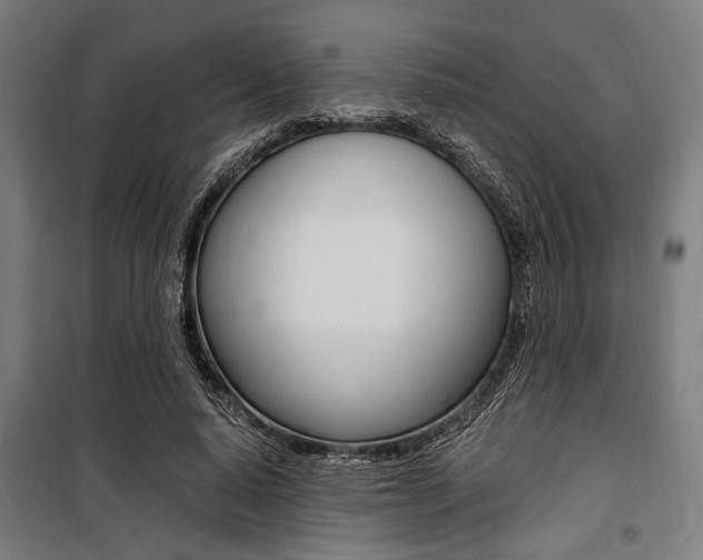 X0000100860640200806200839