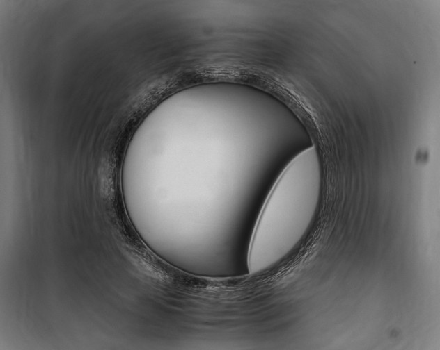 X0000100860641200806200839