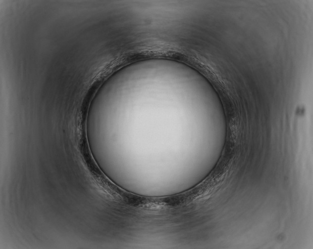 X0000100860642200806200839