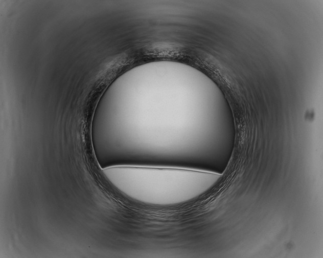 X0000100860643200806200839