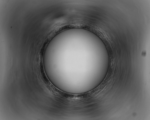 X0000100860647200806200839