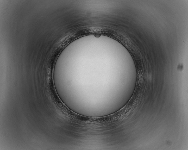 X0000100860648200806200839